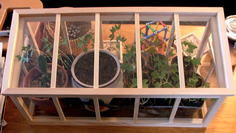 Mini_greenhouse_2.jpg