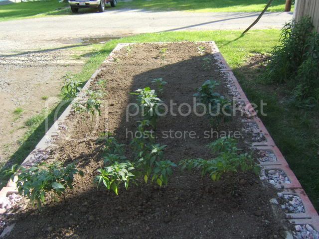 MyGarden2008068.jpg