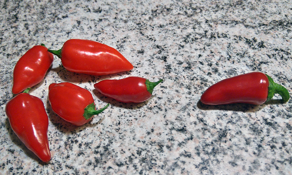 peppers08082017.jpg