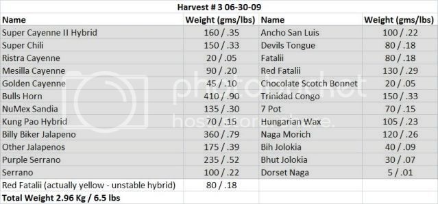Harvest306-30-09.jpg