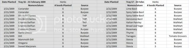 HerbsPlanted21February2009Trays16an.jpg