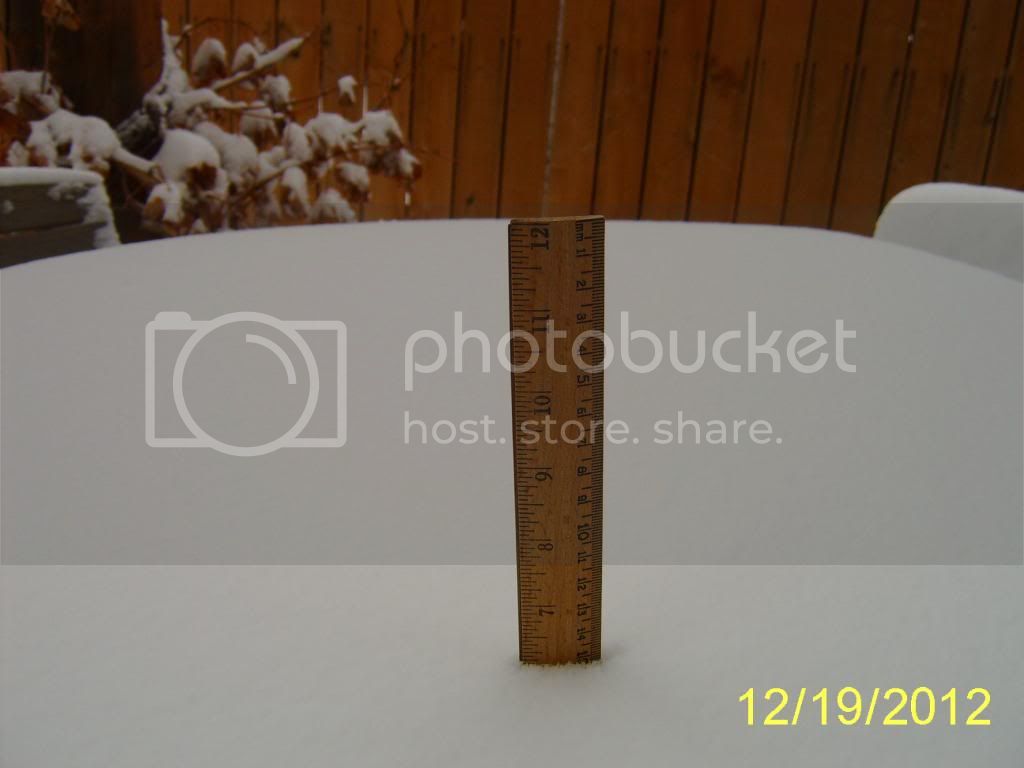 Firstbigsnowoftheseason12-19-12_zps55c765e6.jpg