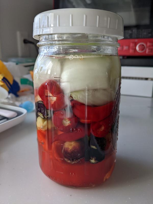 new-ferment.jpg