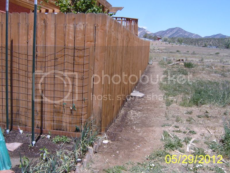 Plantingalongfence.jpg