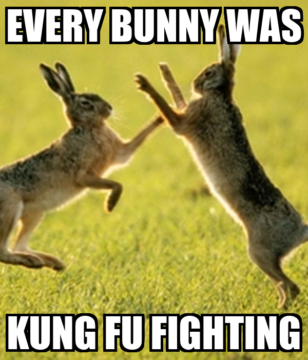 every-bunny-was-kung-fu-fighting.png