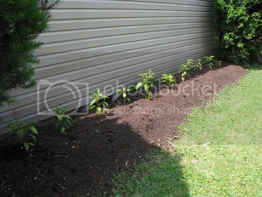 130608SideFlowerBed.jpg