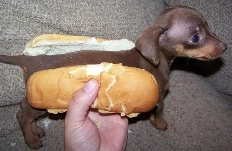 Hot+Dog.jpg