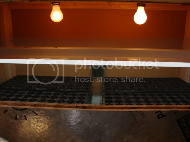 DSC01067.jpg