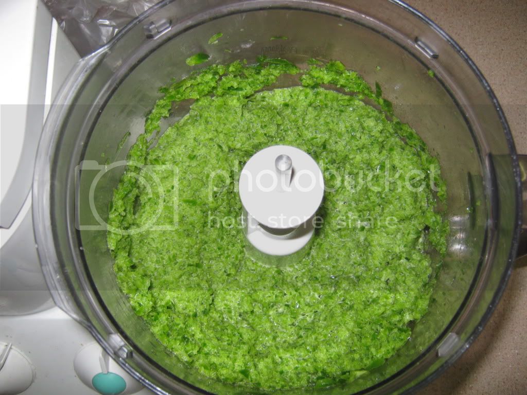 greensauce088.jpg