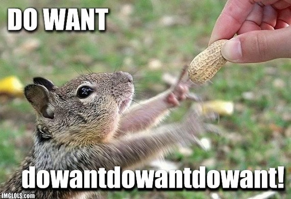 do-want-squirell.jpg