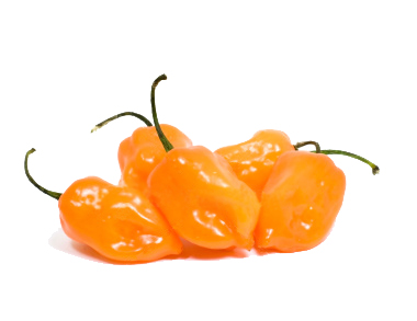 habanero_pic.jpg