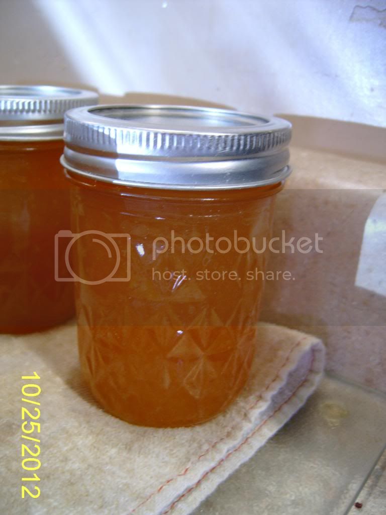 PeachHabaneroJam2ndbatch.jpg