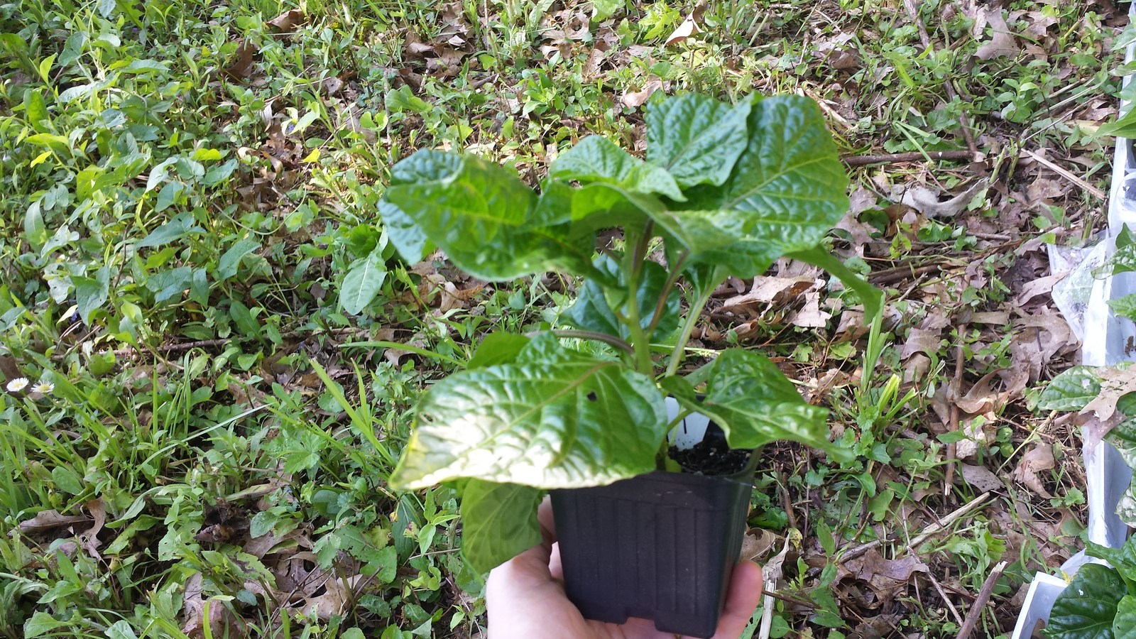 20180513_094554.jpg