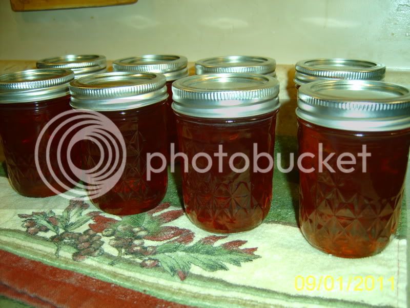 CranberryJalapenoJelly1stbatchthisseason.jpg