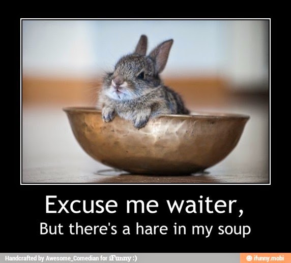 Hare+in+my+soup.JPG