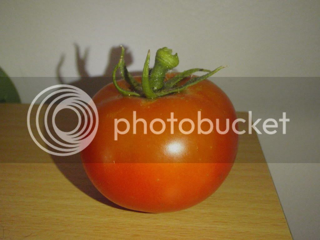 tomato001.jpg