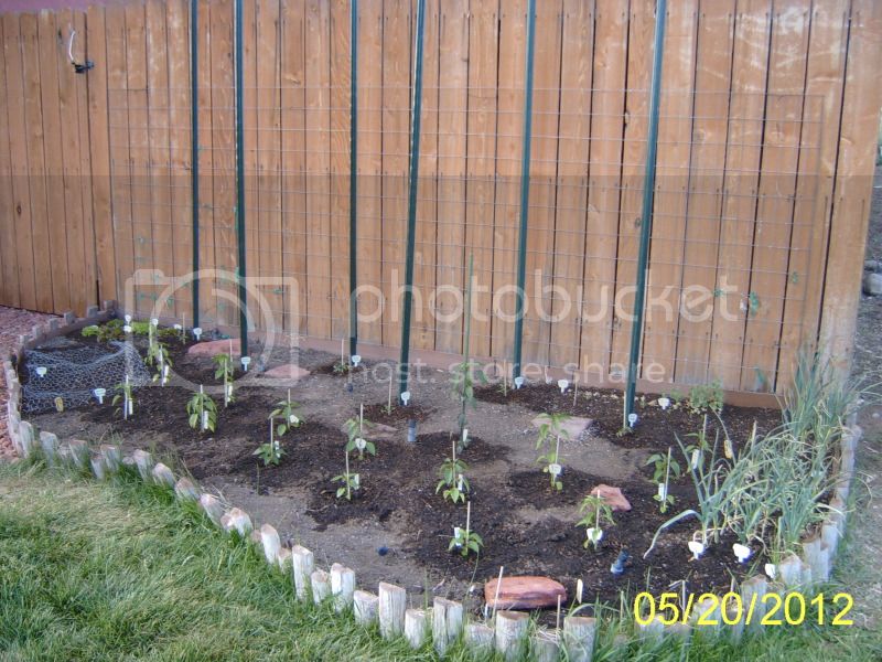 Frontviewofveggiebed5-20-12.jpg