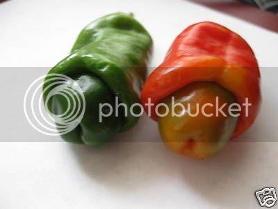 peter-pepper-capsicum-annuum-20-seeds_230472798642_zpsb6ef38c5.jpg