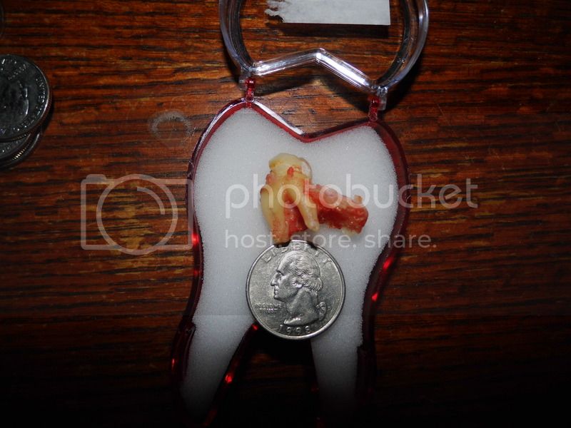 SANY0147.jpg