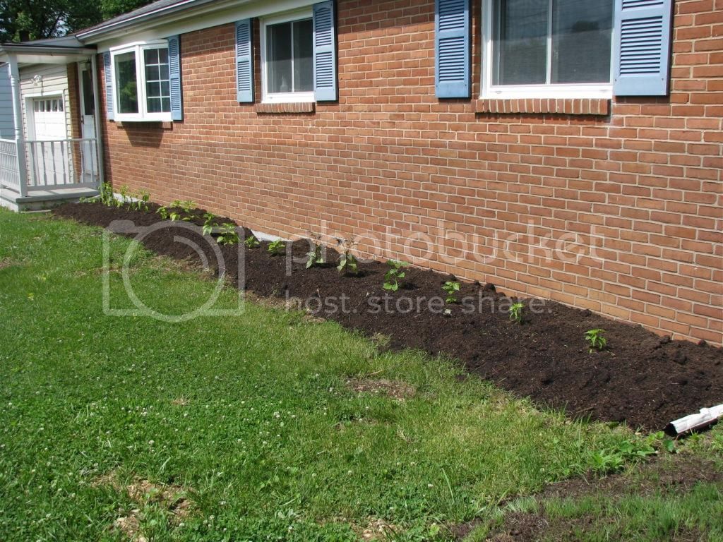 130608FrontFlowerBed.jpg