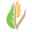plant4harvest.com