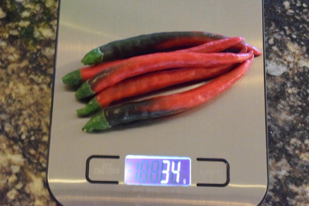 337.jpg