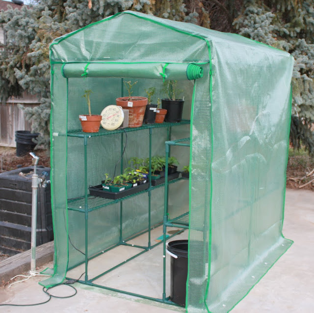 greenhouse%2031211%20004.jpg