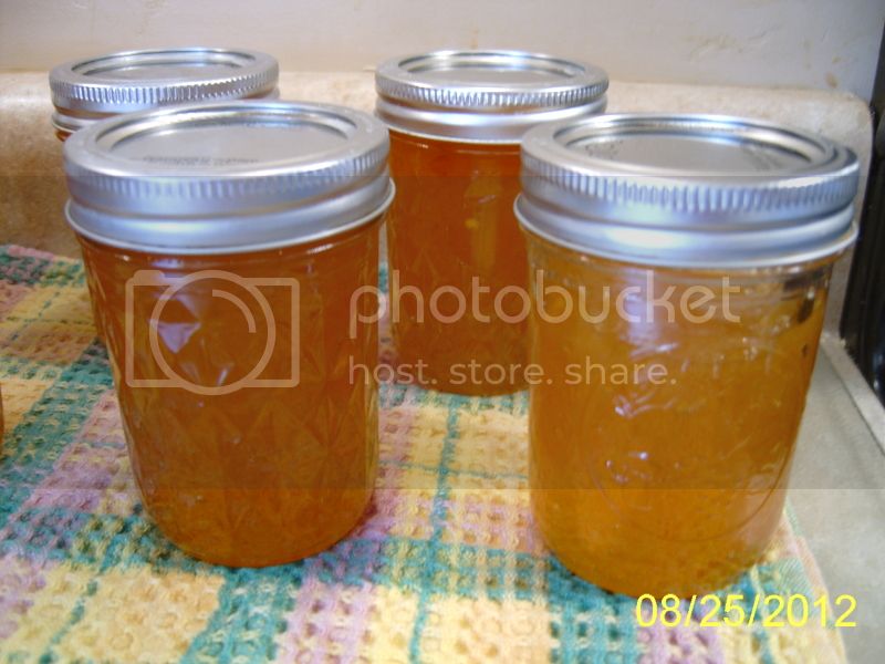 HotLemonJelly8-25-12.jpg