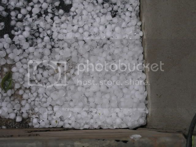 NastyHail050909.jpg