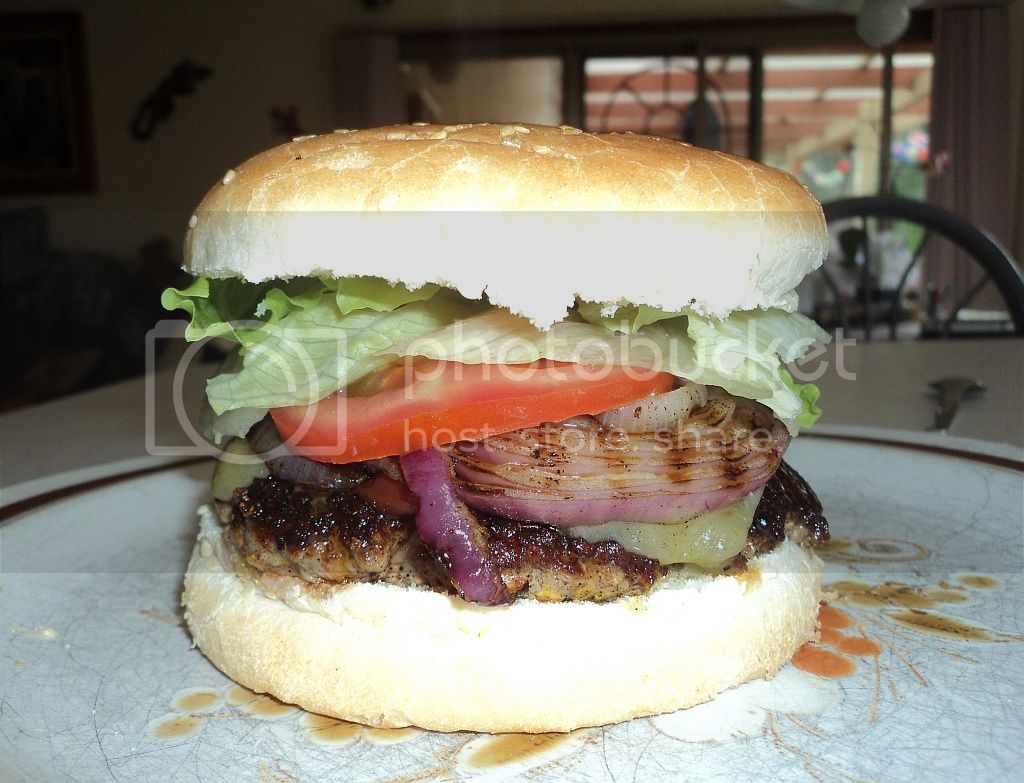 burger1_zps084230be.jpg