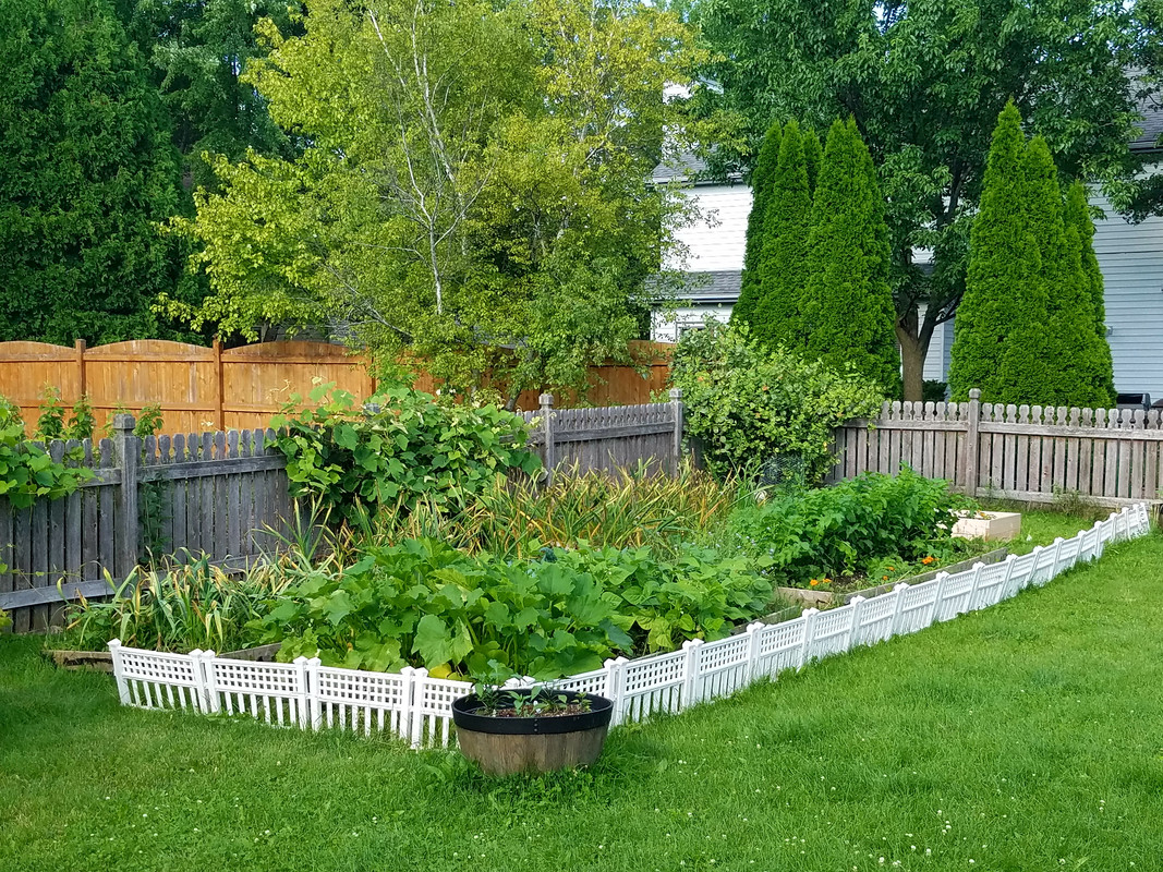 garden.jpg