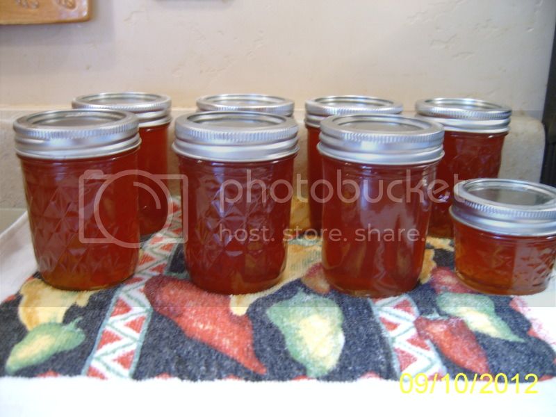 CranberryJalapenoJelly9-10-12.jpg