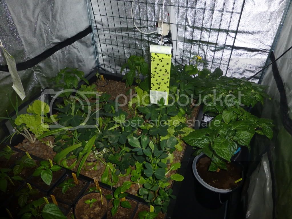 P1040296_zps2c6b4af2.jpg