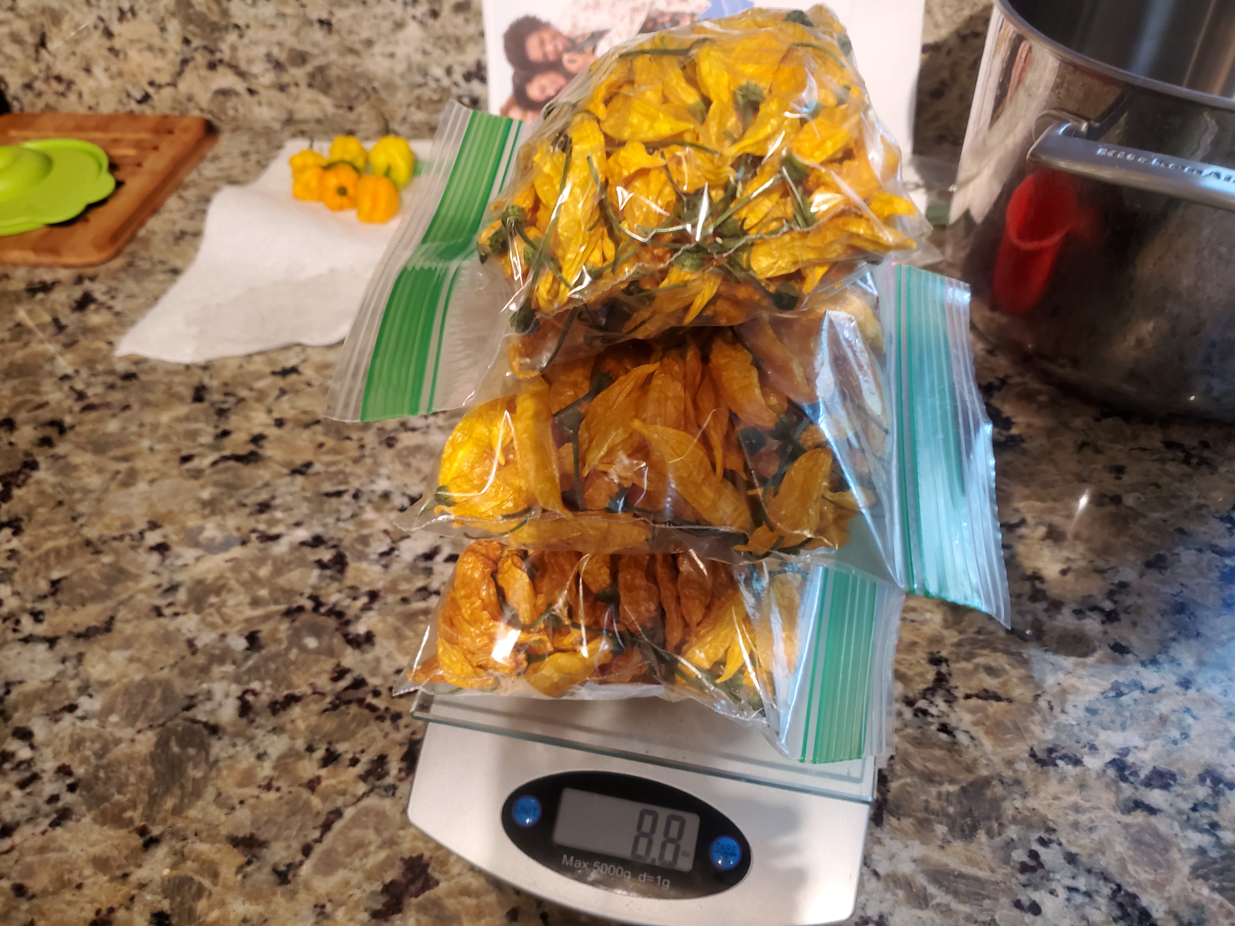 20190928-104311.jpg