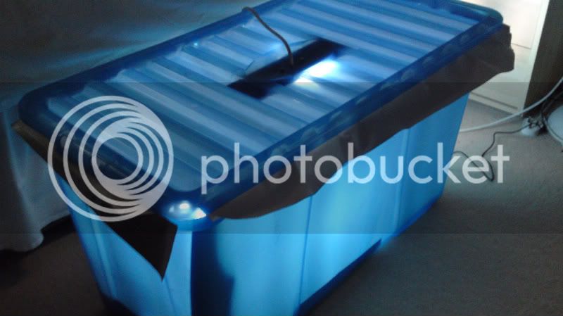 31032010039.jpg