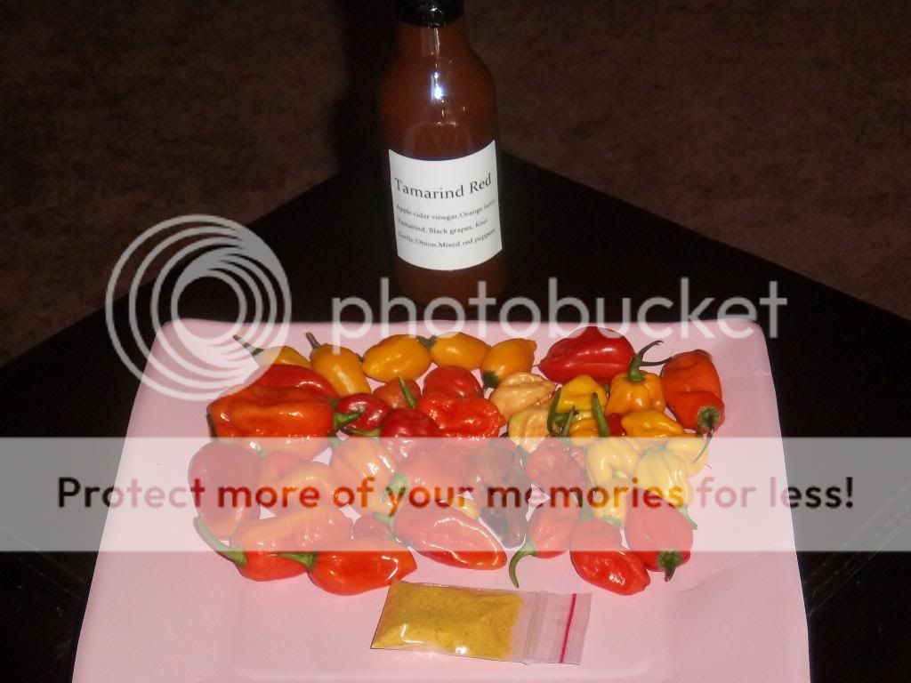 PepperampSaucePackages004_zps524f5860.jpg