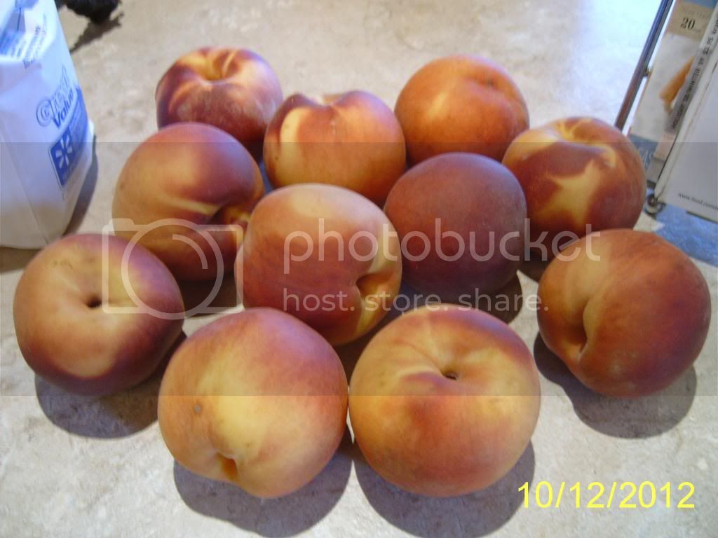 Peaches_zpsb63020c1.jpg