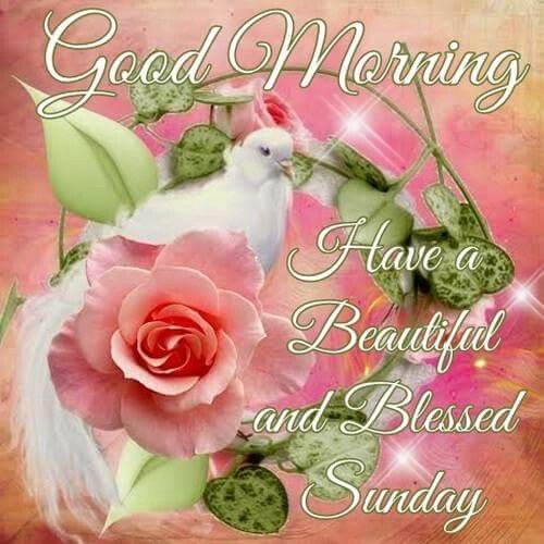 265225-Good-Morning-Have-A-Beautiful-And-Blessed-Sunday.jpg
