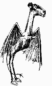 Nj_devil_notgreyscale.png