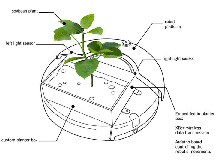 soybot-diagram.jpg