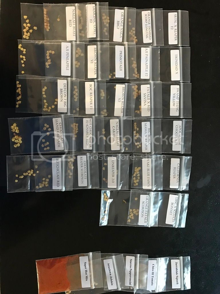 Valleyrider's blog 2018