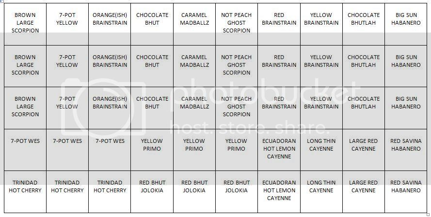 Revised%20TRAY%202a_1.jpg