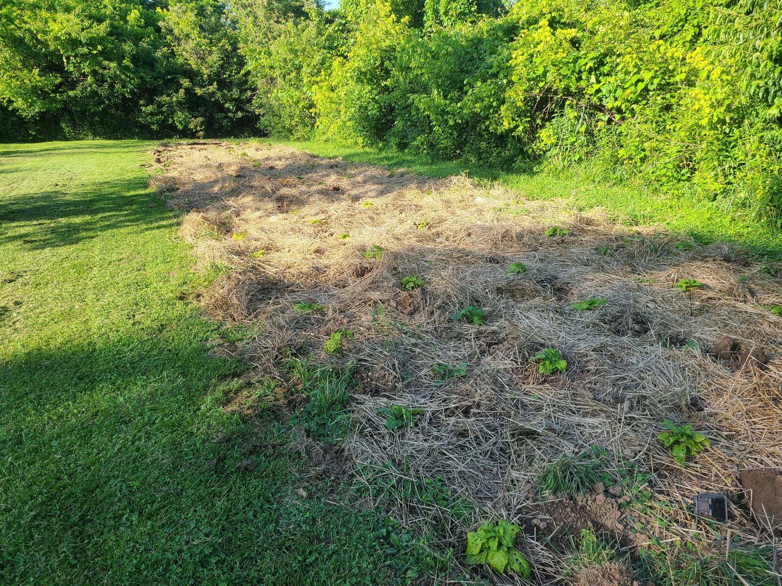 20250608_183653.jpg