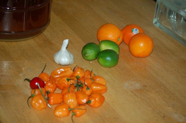 16480_my_first_hot_sauce_makings_01-07-2010_002.jpg