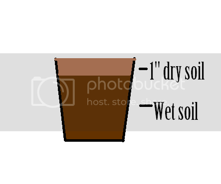 dirt_zps7f46332d.png