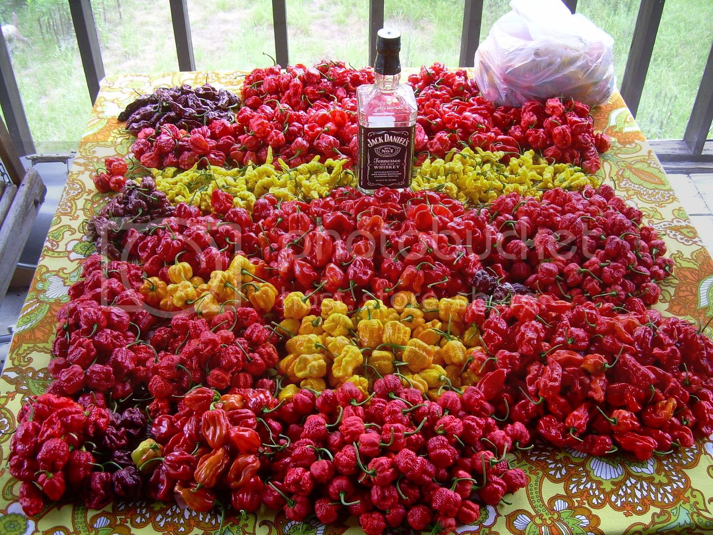 7-27-12Harvest.jpg