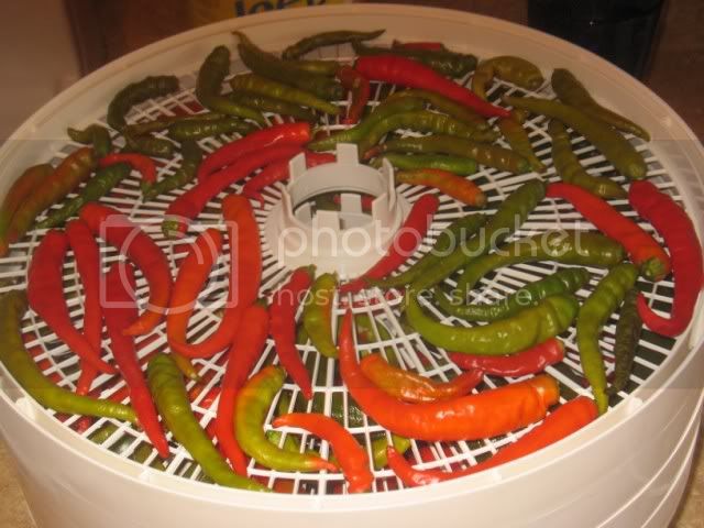 hotpeppers007.jpg