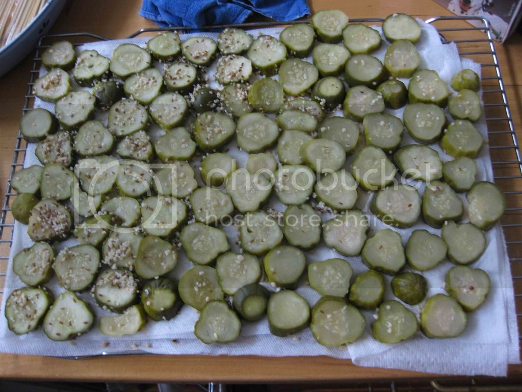 wide-shot-of-pickles-drying1_zpsd526ylbq.jpg