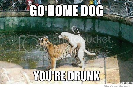 dog-humping-tiger.jpg