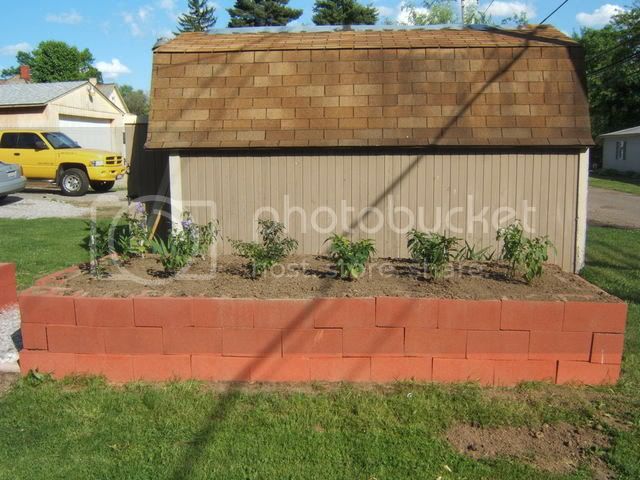 MyGarden2008072.jpg